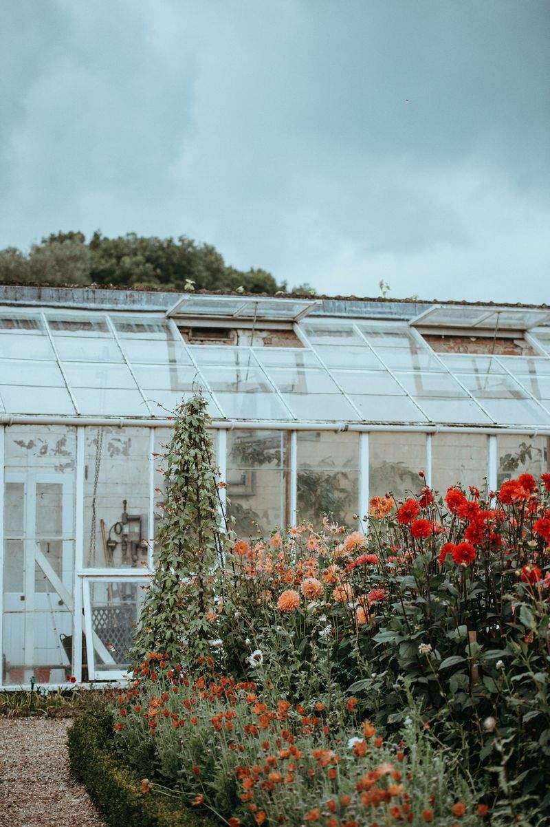 VerdeVivo Jardinería SP 12