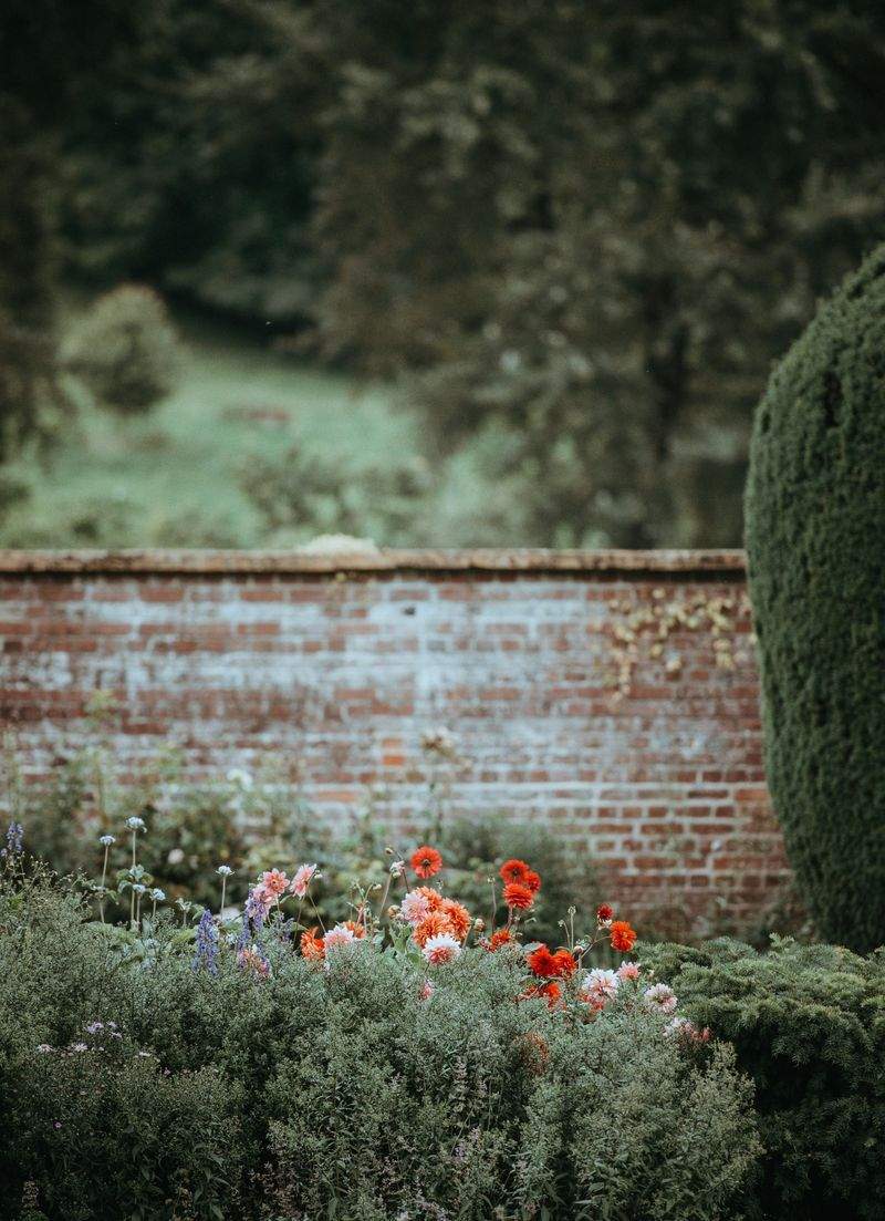 VerdeVivo Jardinería SP 13