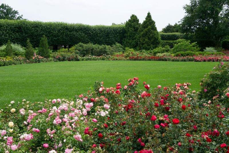 VerdeVivo Jardinería SP 14