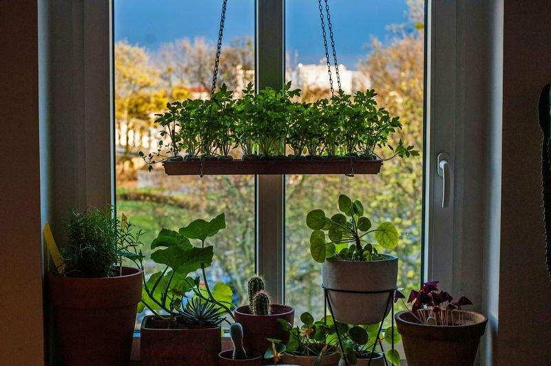 VerdeVivo Jardinería SP 15