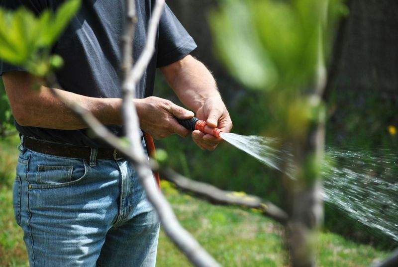 VerdeVivo Jardinería SP 8