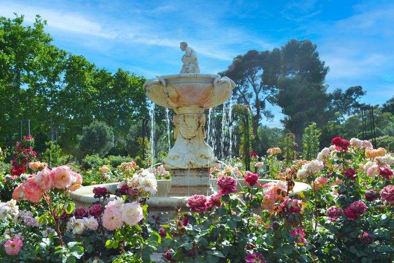 VerdeVivo Jardinería SP